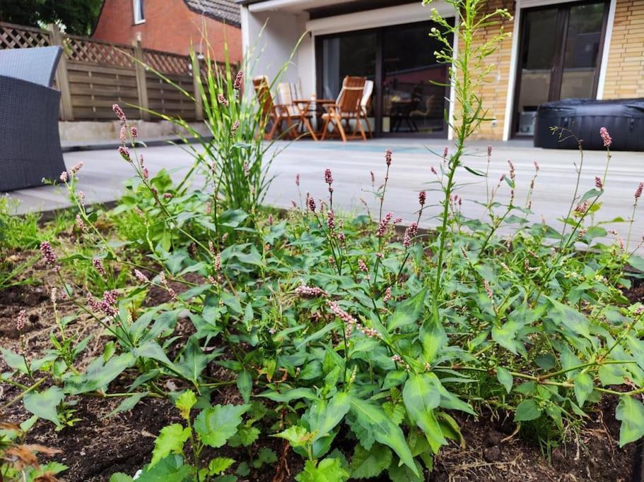 Appartement Wohlfuehloase